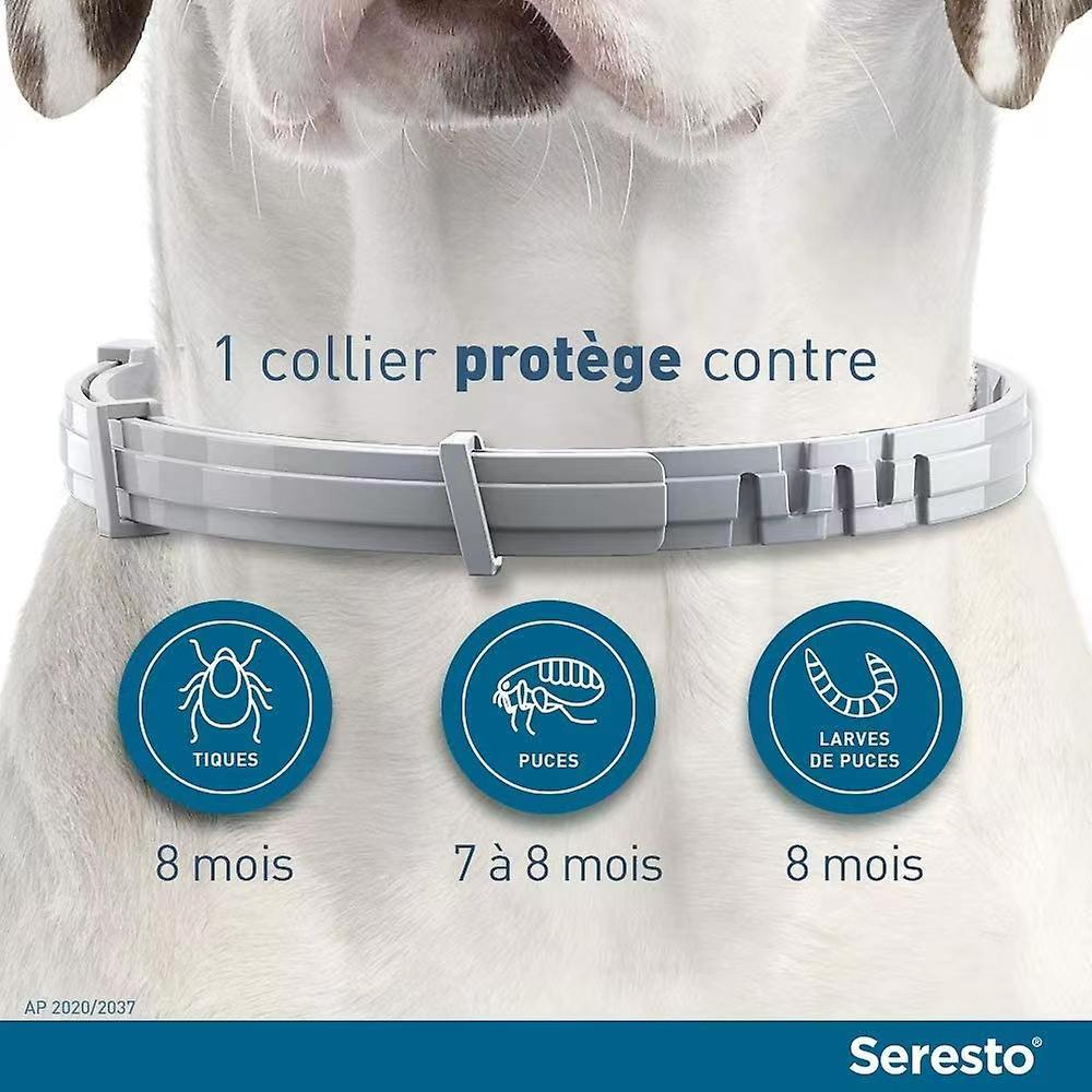 Foto 4 pulgar | Venta Internacional - Collar Ajustable Repelente a Insectos Sipin para Gatos