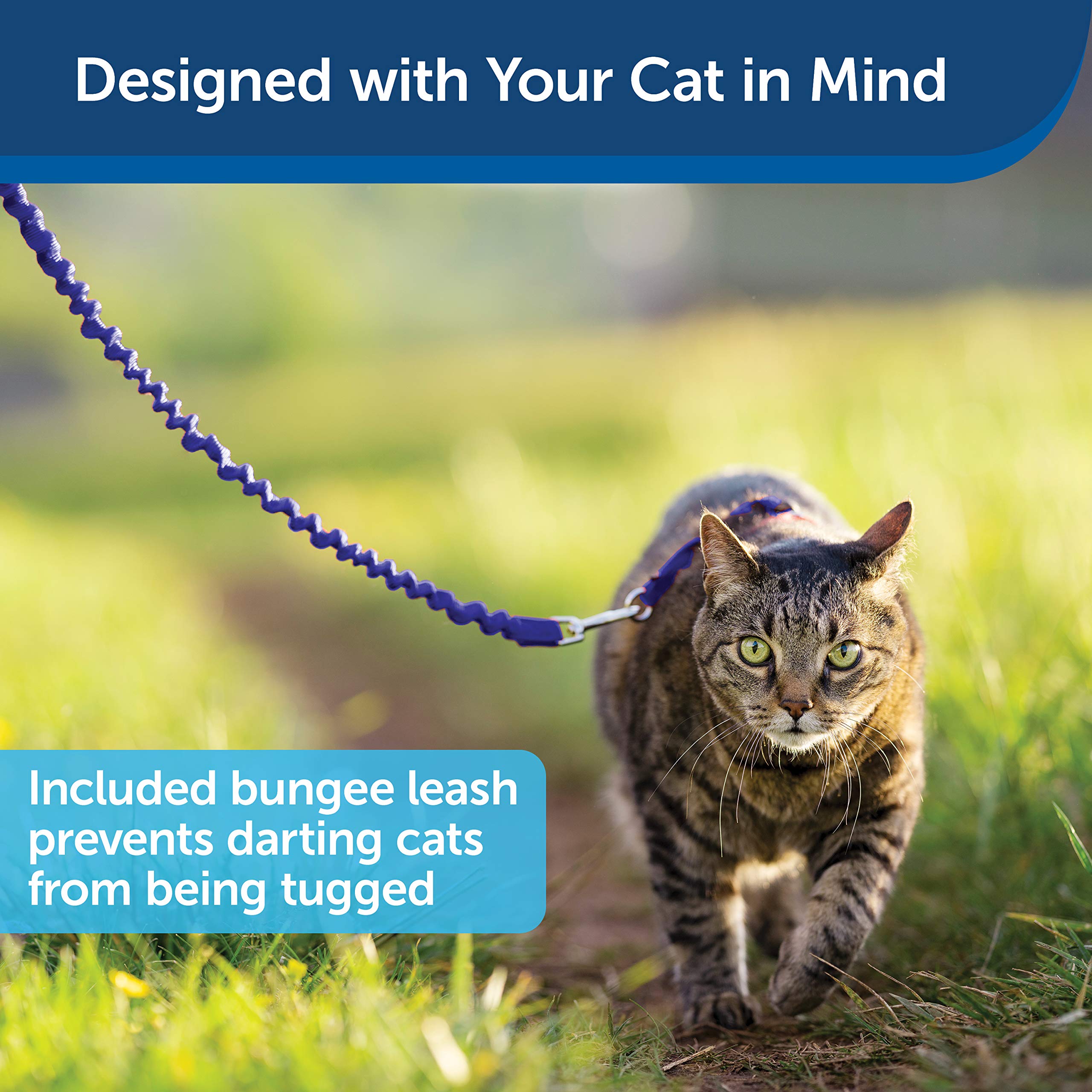 Foto 4 | Arnés Petsafe Come With Me Kitty Para Gatos, Color Azul Medio - Venta Internacional.