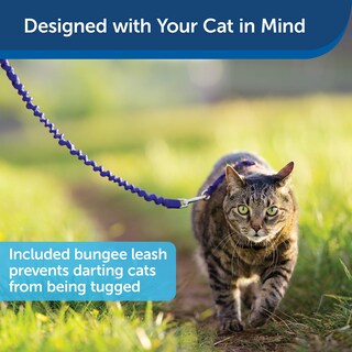 Foto 4 | Arnés Petsafe Come With Me Kitty Para Gatos, Color Azul Medio - Venta Internacional.