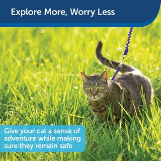 Foto 5 | Arnés Petsafe Come With Me Kitty Para Gatos, Color Azul Medio - Venta Internacional.
