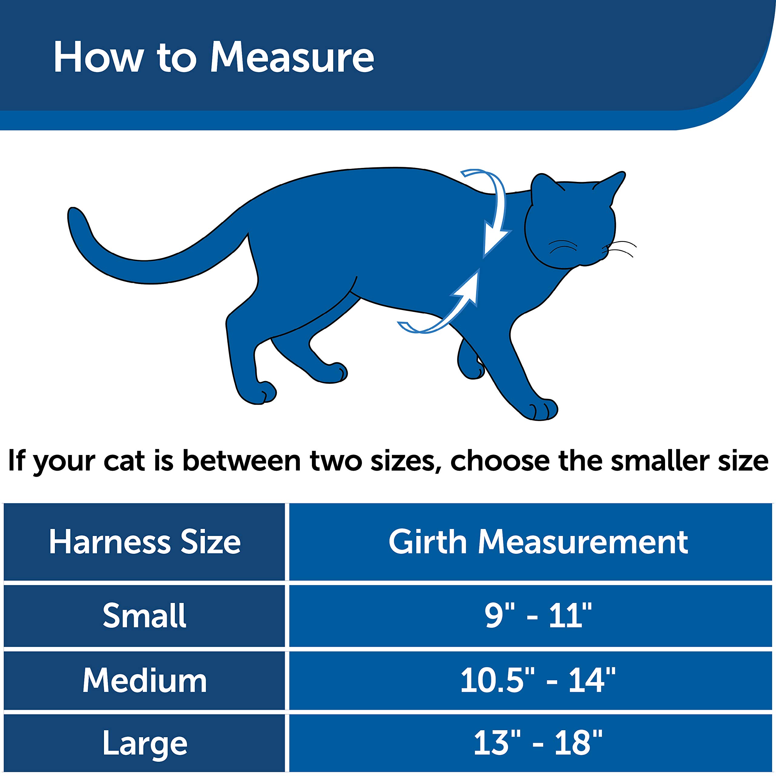 Foto 7 pulgar | Arnés Petsafe Come With Me Kitty Para Gatos, Color Azul Medio - Venta Internacional.