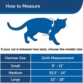 Foto 6 | Arnés Petsafe Come With Me Kitty Para Gatos, Color Azul Medio - Venta Internacional.