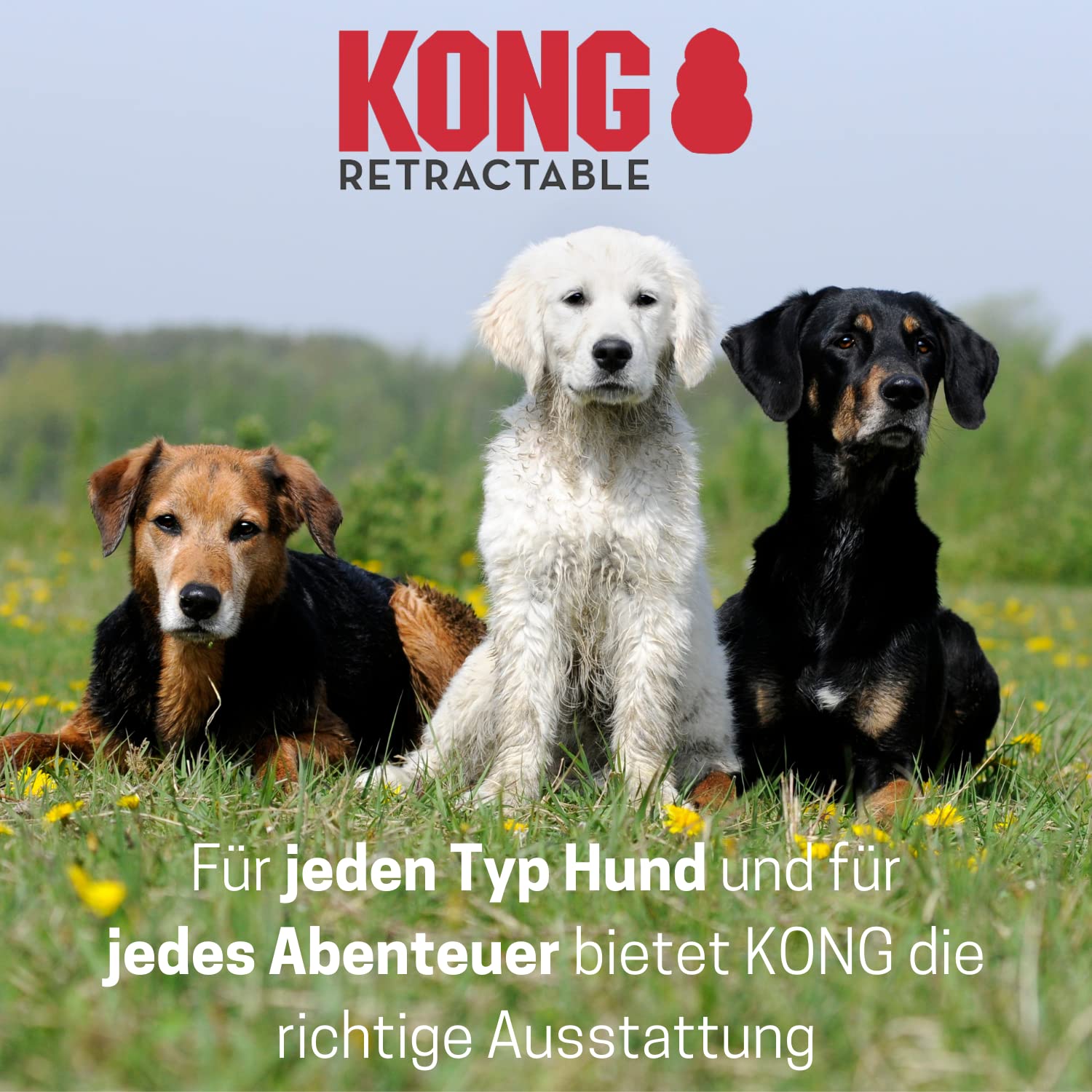 Foto 6 | Correa Retráctil Para Perros Kong Ultimate Alcott Extra Grande Azul - Venta Internacional.
