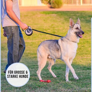 Foto 7 | Correa Retráctil Para Perros Kong Ultimate Alcott Extra Grande Azul - Venta Internacional.