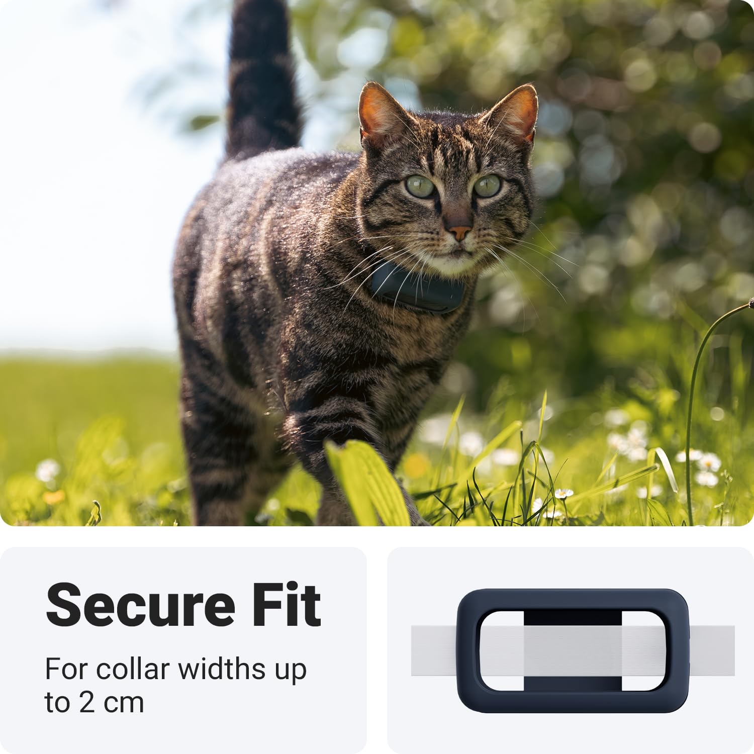 Foto 4 | Accesorio De Montaje Para Tractive Gps Cat Mini (paquete De 2) - Venta Internacional.