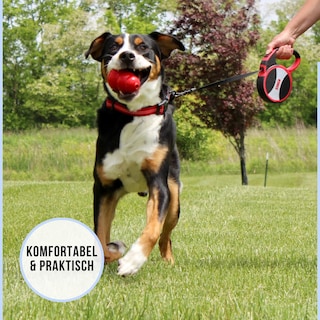 Foto 7 | Correa Retráctil Para Perros Kong Alcott Explore Large, Gris, 7,3 M - Venta Internacional.