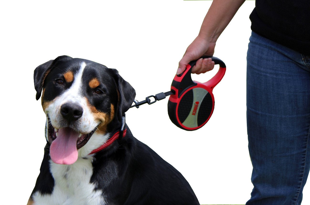 Foto 7 | Correa Retráctil Para Perros Kong Alcott Kong Terrain Blue 5 M - Venta Internacional.