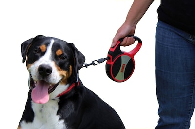 Foto 7 | Correa Retráctil Para Perros Kong Alcott Kong Terrain Blue 5 M - Venta Internacional.