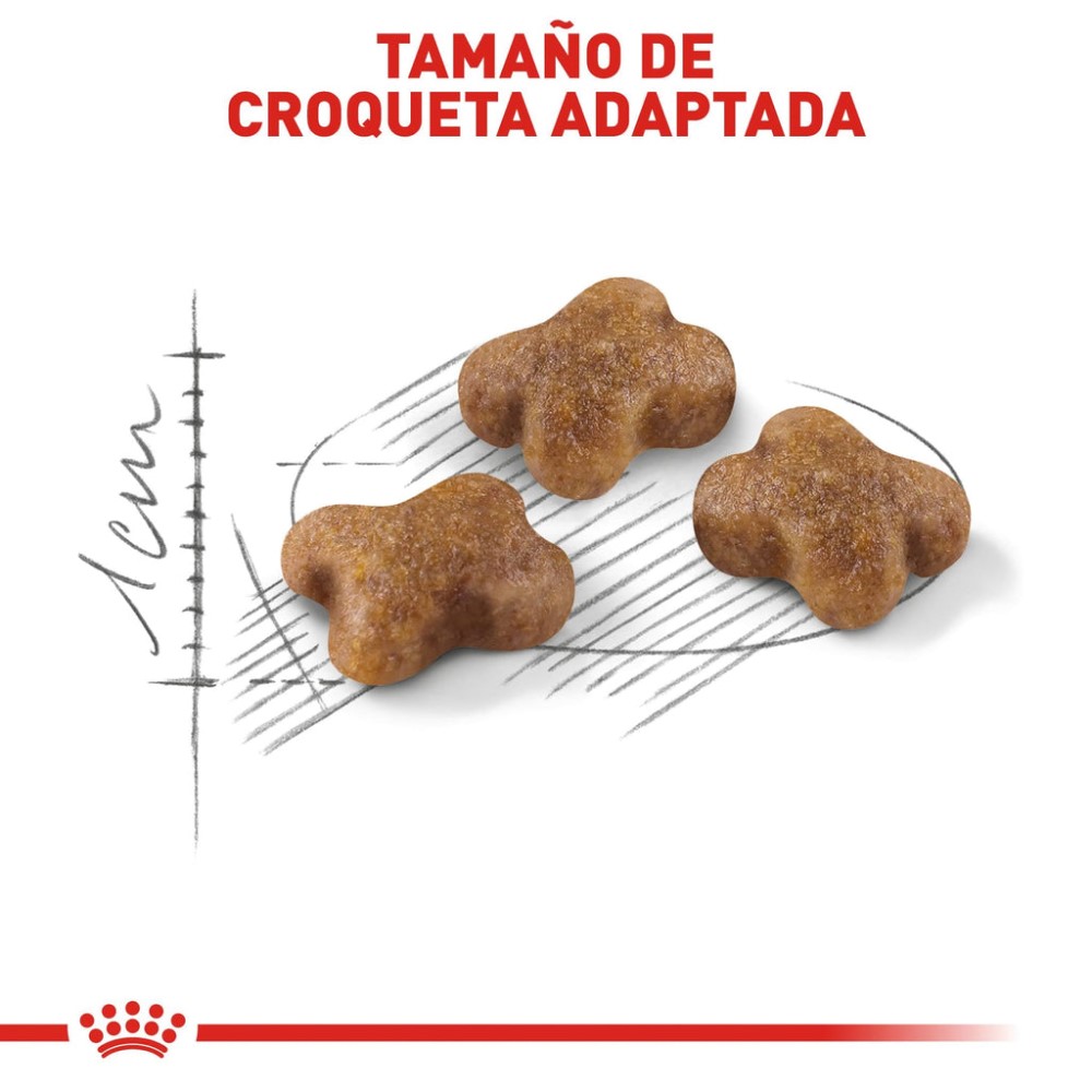 Foto 6 pulgar | Alimento en Croqueta para Gatito Cachorro Royal Canin 1.37 kg