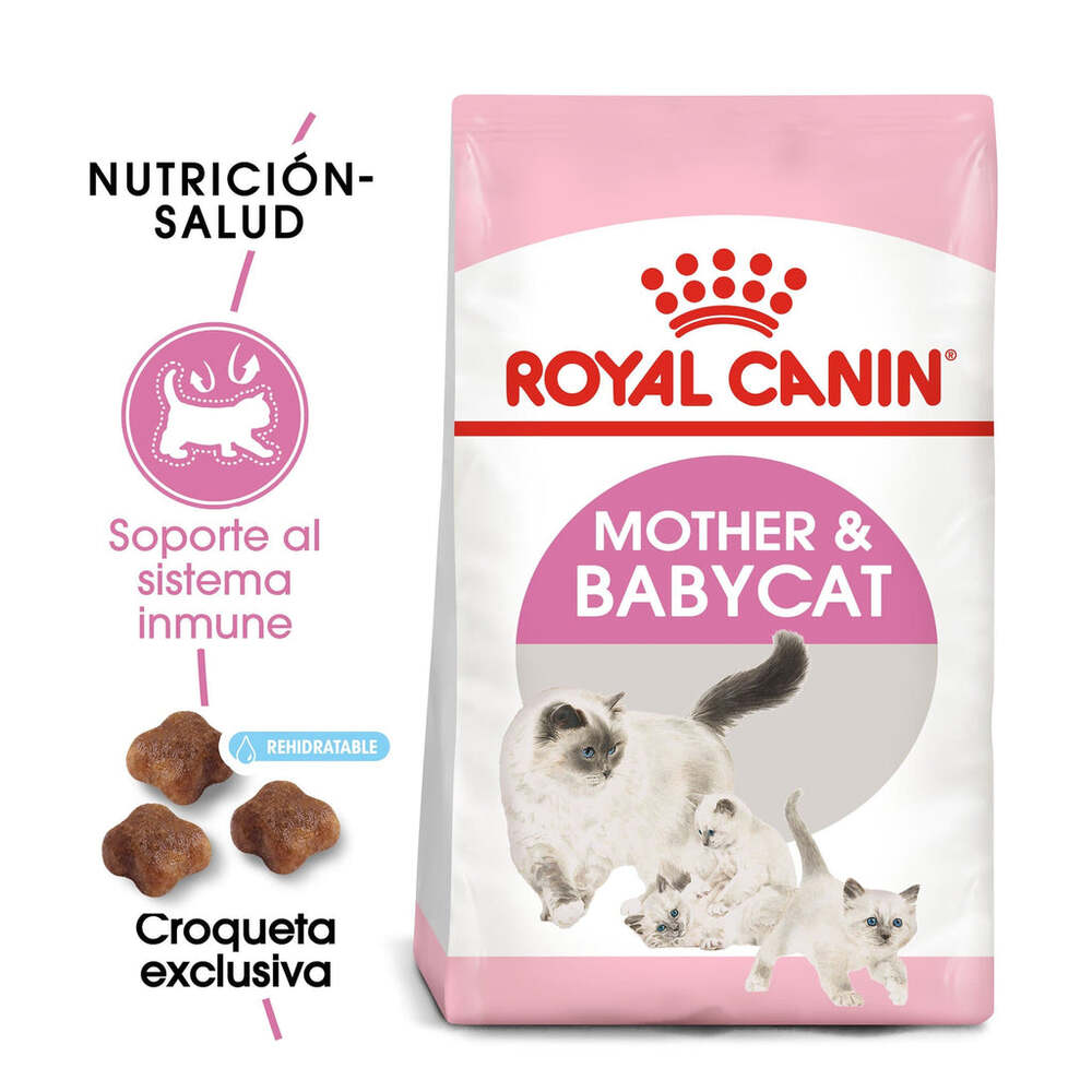 Foto 3 pulgar | Alimento Croqueta para Gatas Gestantes Gatitos 1.37kg Royal Canin