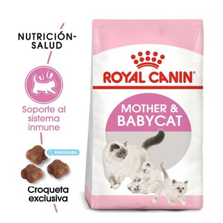 Foto 2 | Alimento Croqueta para Gatas Gestantes Gatitos 1.37kg Royal Canin