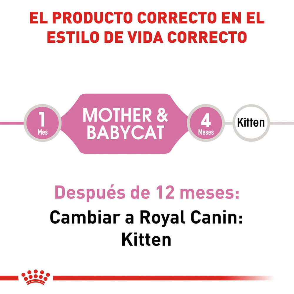 Foto 4 pulgar | Alimento Croqueta para Gatas Gestantes Gatitos 1.37kg Royal Canin
