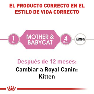 Foto 3 | Alimento Croqueta para Gatas Gestantes Gatitos 1.37kg Royal Canin
