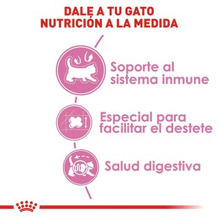 Foto 4 | Alimento Croqueta para Gatas Gestantes Gatitos 1.37kg Royal Canin