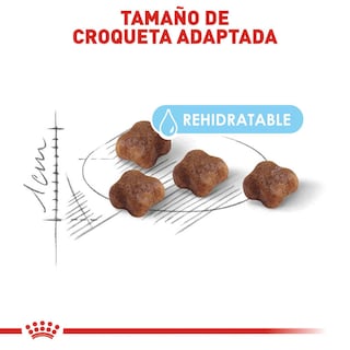 Foto 5 | Alimento Croqueta para Gatas Gestantes Gatitos 1.37kg Royal Canin