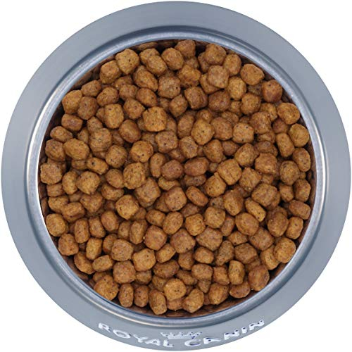 Foto 5 pulgar | Comida Para Gatos Royal Canin Indoor 7+ Adulto 2,5 Kg - Venta Internacional.