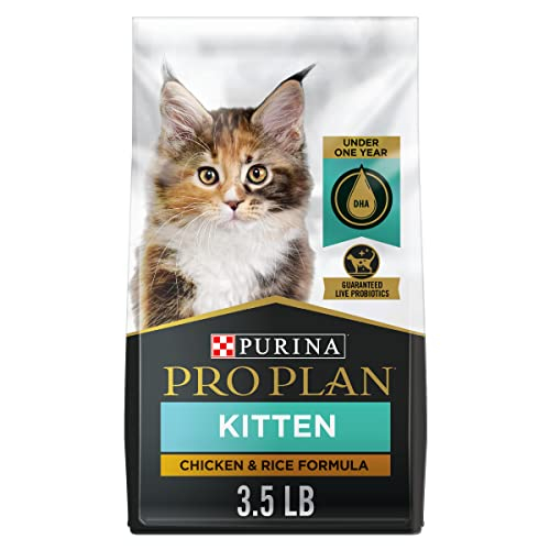 Comida Para Gatitos Purina Pro Plan Focus, Pollo Y Arroz, Bolsa De 1,6 Kg - Venta Internacional.