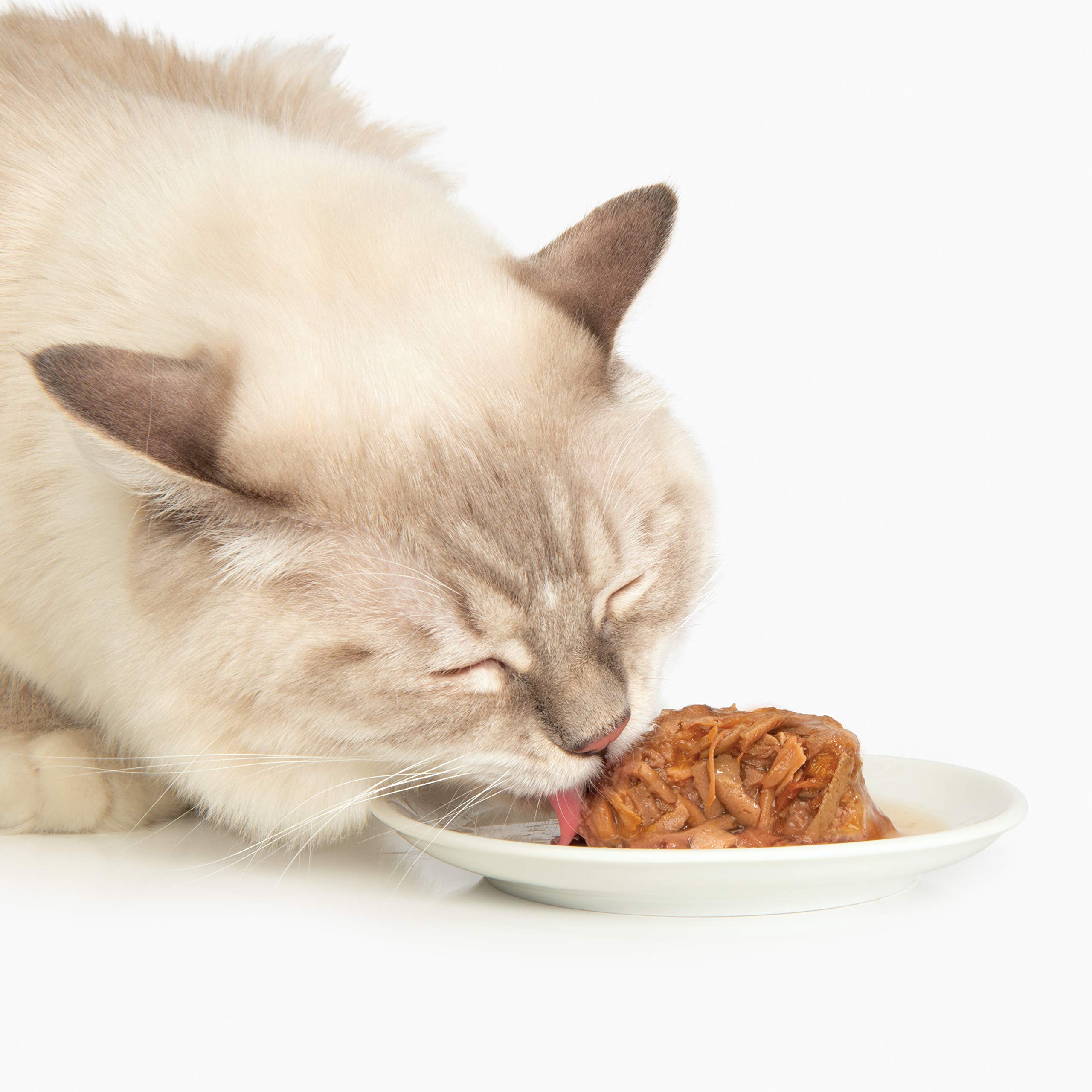 Foto 3 pulgar | Comida Húmeda Para Gatos Catit, Cena De Pollo Con Pato Y Patatas - Venta Internacional.