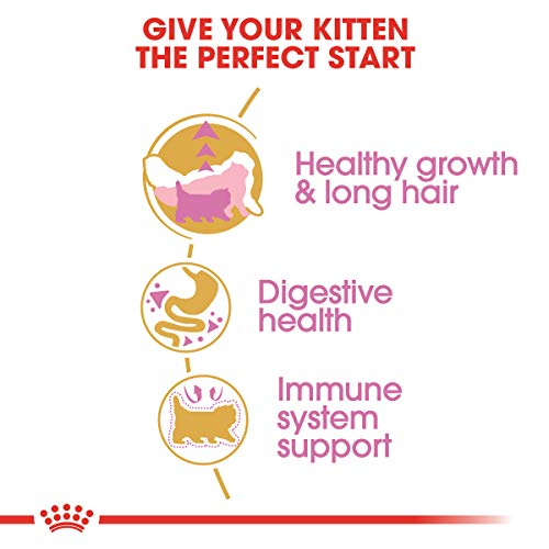 Foto 5 pulgar | Alimento Seco Para Gatos Royal Canin Feline Persian Kitten 1,36 Kg - Venta Internacional.