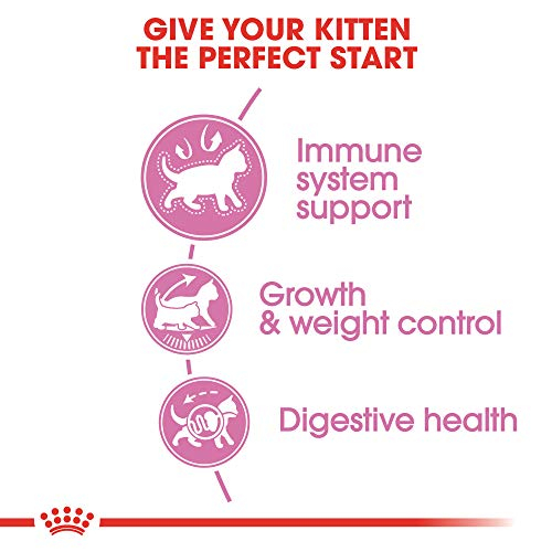 Foto 3 pulgar | Comida Seca Para Gatos Royal Canin Feline Health Nutrition Kitten 1.13 - Venta Internacional.