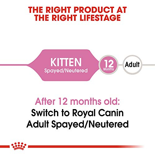 Foto 5 pulgar | Comida Seca Para Gatos Royal Canin Feline Health Nutrition Kitten 1.13 - Venta Internacional.