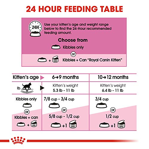 Foto 7 pulgar | Comida Seca Para Gatos Royal Canin Feline Health Nutrition Kitten 1.13 - Venta Internacional.