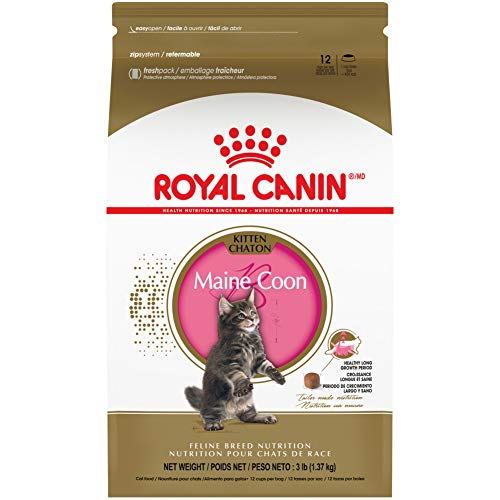 Comida Para Gatos Royal Canin Maine Coon Kitten 1,36 Kg - Venta Internacional.