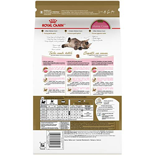 Foto 3 pulgar | Comida Para Gatos Royal Canin Maine Coon Kitten 1,36 Kg - Venta Internacional.