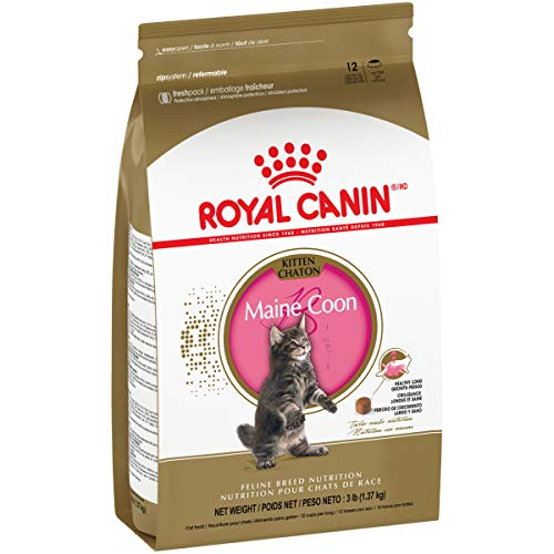 Foto 4 pulgar | Comida Para Gatos Royal Canin Maine Coon Kitten 1,36 Kg - Venta Internacional.