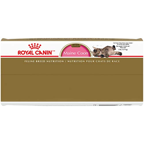 Foto 7 pulgar | Comida Para Gatos Royal Canin Maine Coon Kitten 1,36 Kg - Venta Internacional.