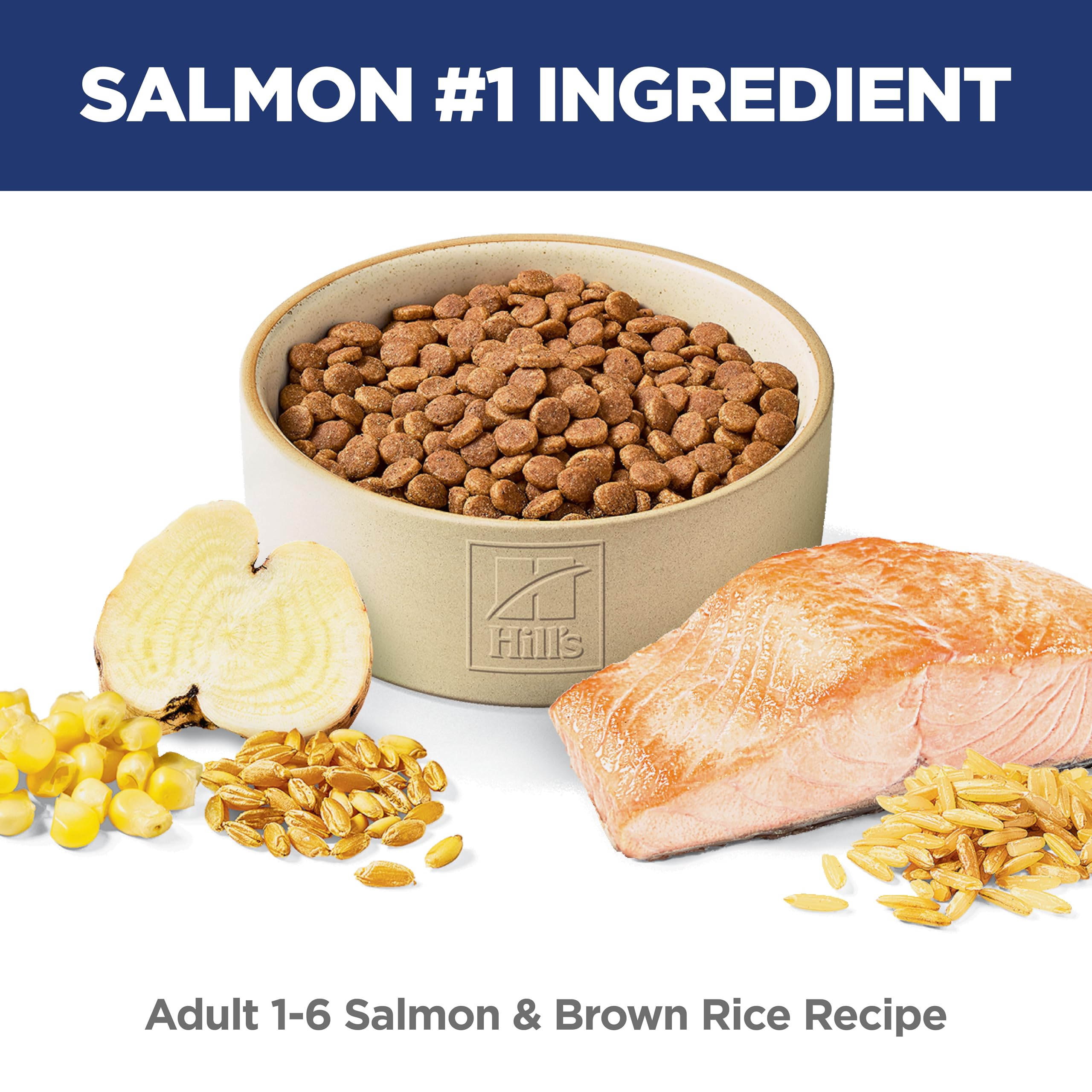 Foto 2 | Cat Food Hill's Science Diet, Salmón Premium Para Adultos De 1 A 6 Años, 2,95 Kg - Venta Internacional.