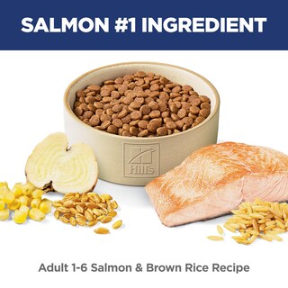 Foto 2 | Cat Food Hill's Science Diet, Salmón Premium Para Adultos De 1 A 6 Años, 2,95 Kg - Venta Internacional.