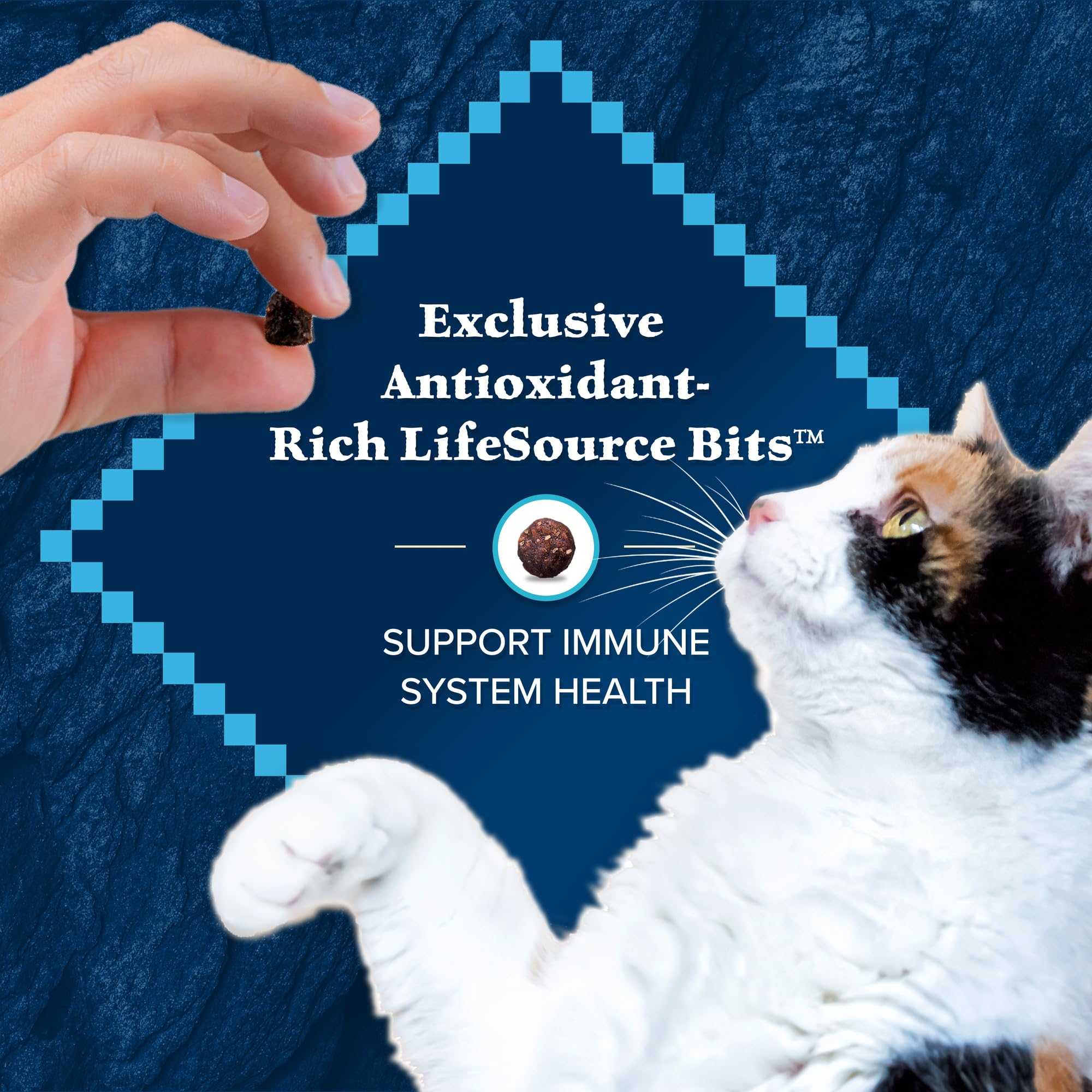 Foto 7 | Comida Para Gatos Blue Buffalo Wilderness Con Alto Contenido De Proteínas, 6,8 Kg - Venta Internacional.