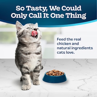 Foto 4 | Alimento Seco Para Gatos Blue Buffalo Tastefuls Kitten Chicken 1,36 Kg - Venta Internacional.