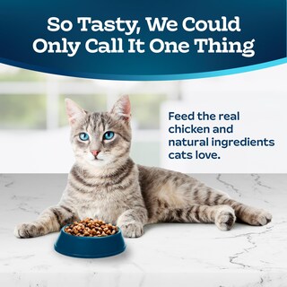 Foto 3 | Comida Seca Blue Buffalo Tastefuls Para Gatos Adultos, Bolsa De 1,36 Kg - Venta Internacional.