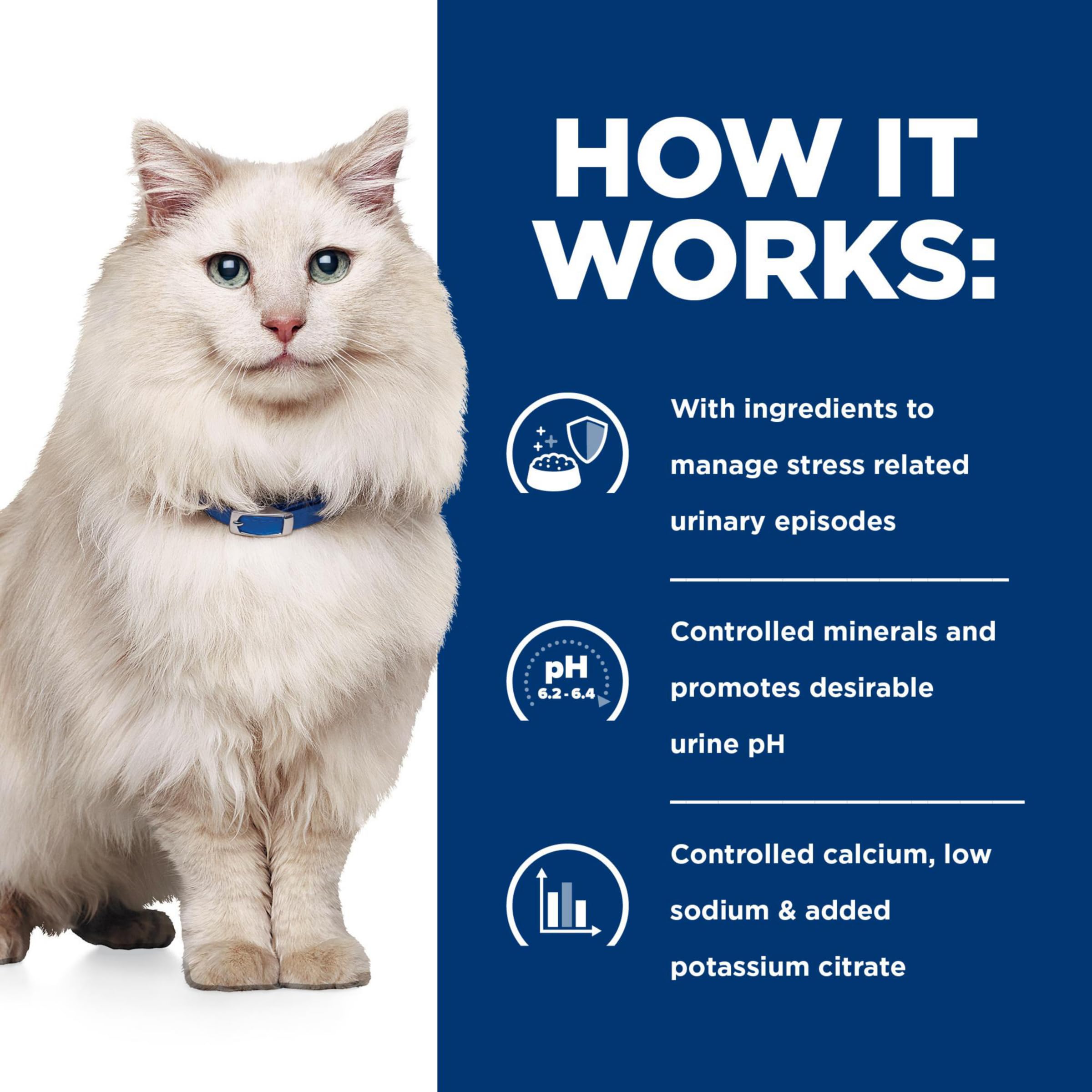 Foto 8 pulgar | Wet Food Hill's Prescription Diet C/d Multicare Stress 24x156g - Venta Internacional.