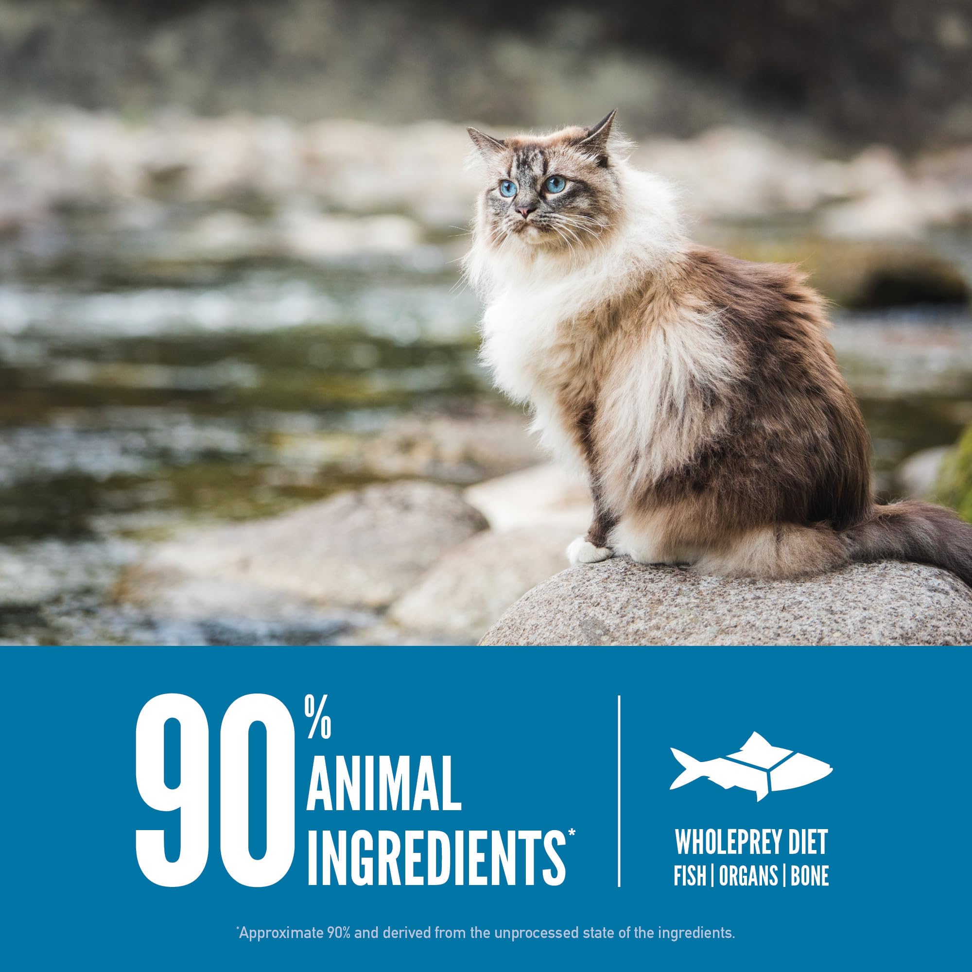 Foto 5 | Alimento Para Gatos Orijen Six Fish 3,2 Kg - Venta Internacional.