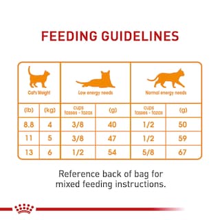 Foto 7 | Comida Para Gatos Royal Canin Hair & Skin Care, 2,7 Kg, Para Piel Sensible - Venta Internacional.