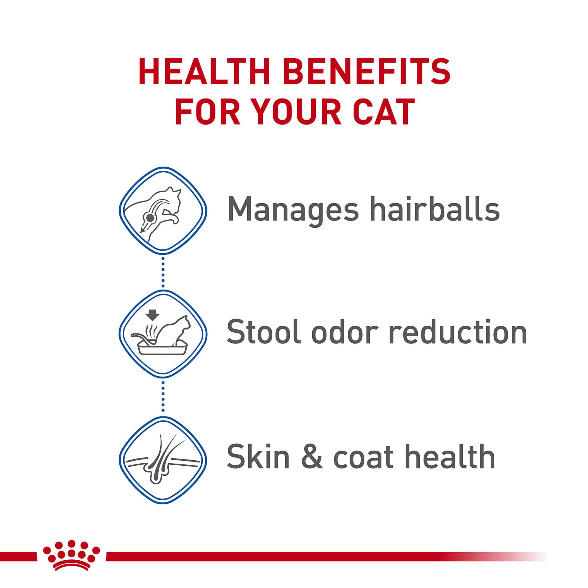 Foto 4 | Alimento Para Gatos Royal Canin, Pelo Largo, Para Uso Interior, Adulto, 2,7 Kg - Venta Internacional.