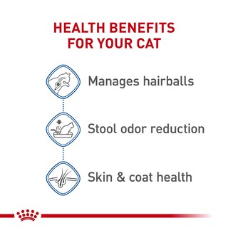 Foto 4 | Alimento Para Gatos Royal Canin, Pelo Largo, Para Uso Interior, Adulto, 2,7 Kg - Venta Internacional.