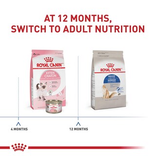 Foto 5 | Alimento Para Gatos Royal Canin, Pelo Largo, Para Uso Interior, Adulto, 2,7 Kg - Venta Internacional.