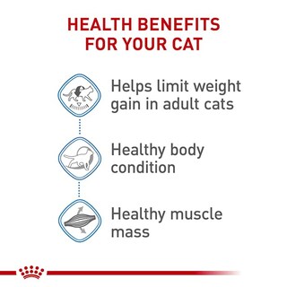 Foto 6 | Comida Para Gatos Royal Canin Feline Care Nutrition Weight Care 1,36 Kg - Venta Internacional.