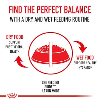 Foto 2 | Alimento Para Gatos Royal Canin Savor Selective Adult 2,7 Kg - Venta Internacional.