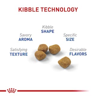 Foto 2 | Alimento Para Gatos Royal Canin Indoor 7+ Adulto, 1,13 Kg - Venta Internacional.