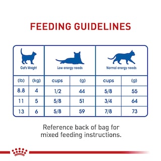 Foto 5 | Alimento Para Gatos Royal Canin Indoor 7+ Adulto, 1,13 Kg - Venta Internacional.