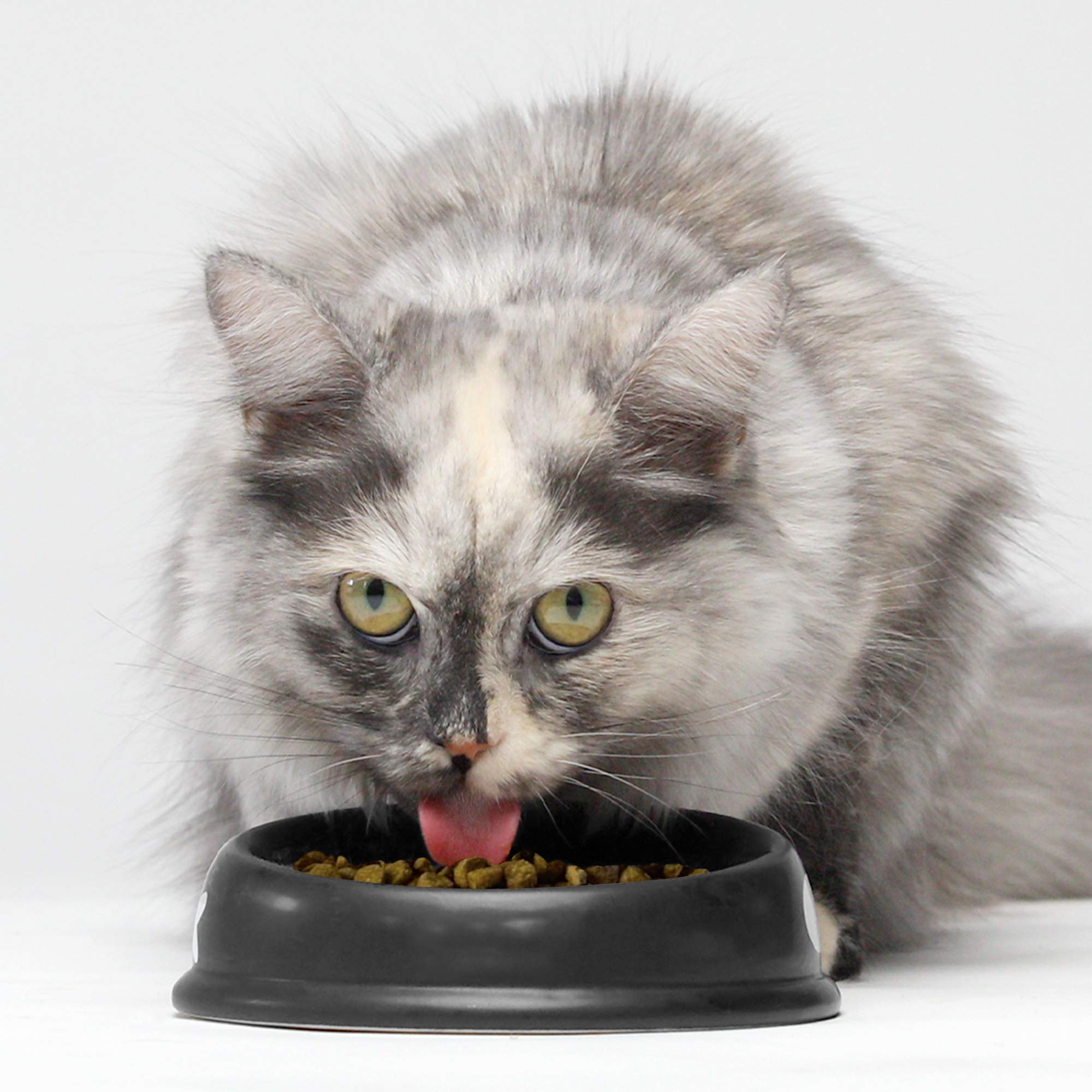 Foto 5 | Comida Para Gatos, Receta De Cordero Criado En Pastos De Open Farm, 1,8 Kg - Venta Internacional.