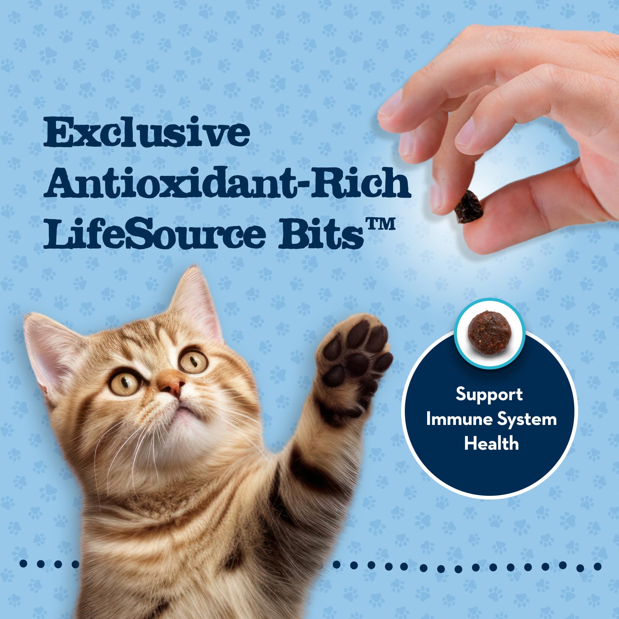 Foto 7 pulgar | Alimento Seco Para Gatos Blue Buffalo Baby Blue Natural Kitten 0,9 Kg - Venta Internacional.