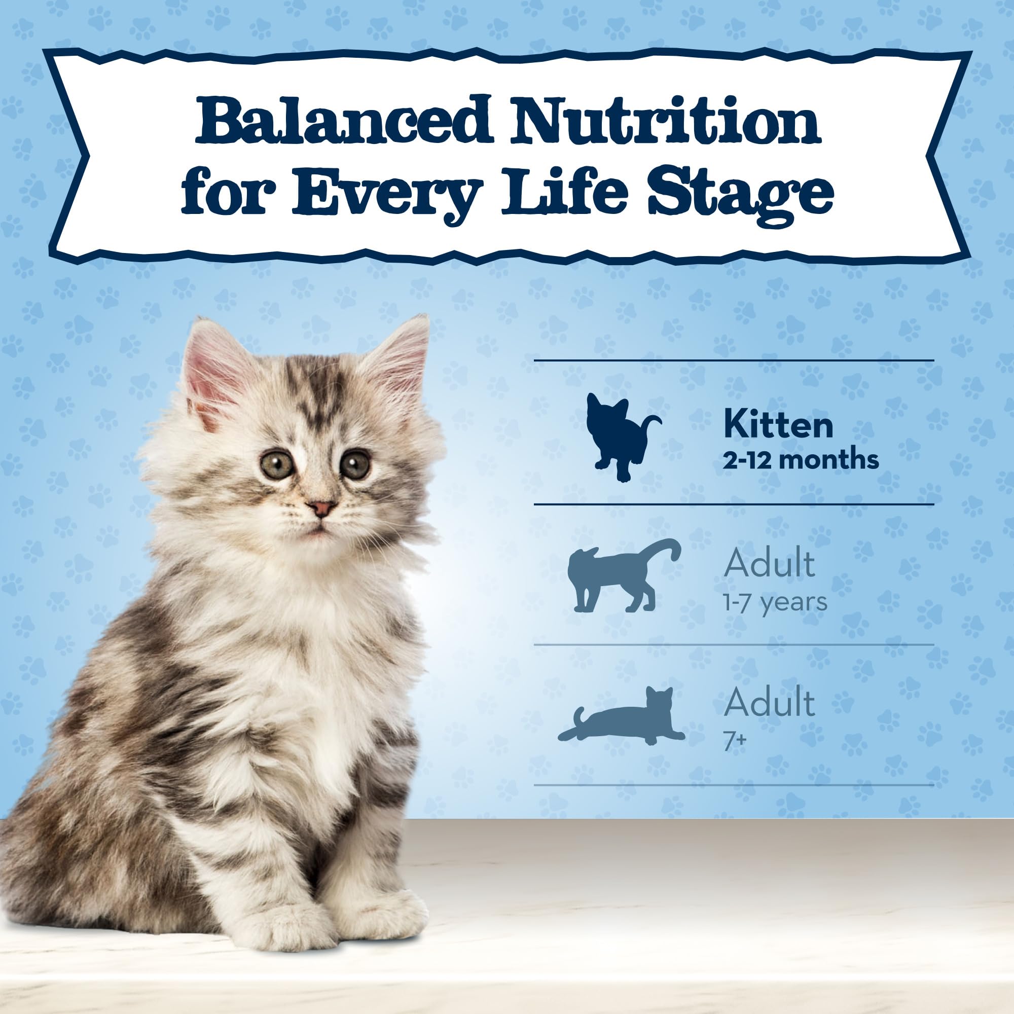 Foto 7 | Alimento Seco Para Gatos Blue Buffalo Baby Blue Natural Kitten 0,9 Kg - Venta Internacional.