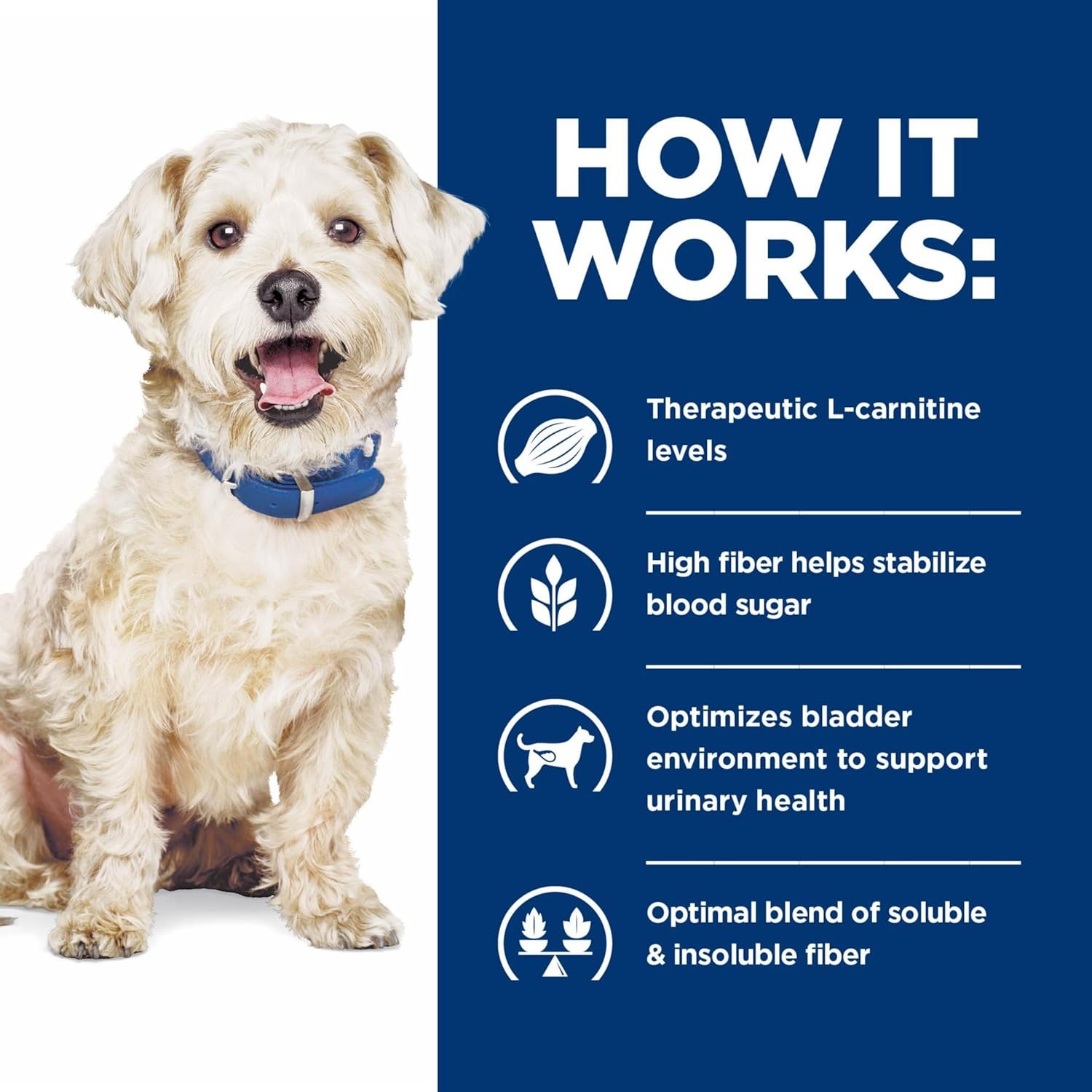 Foto 5 | Hill's W/d Canine Multi Benefit Glucose Management Alimento Seco De 7.9kg