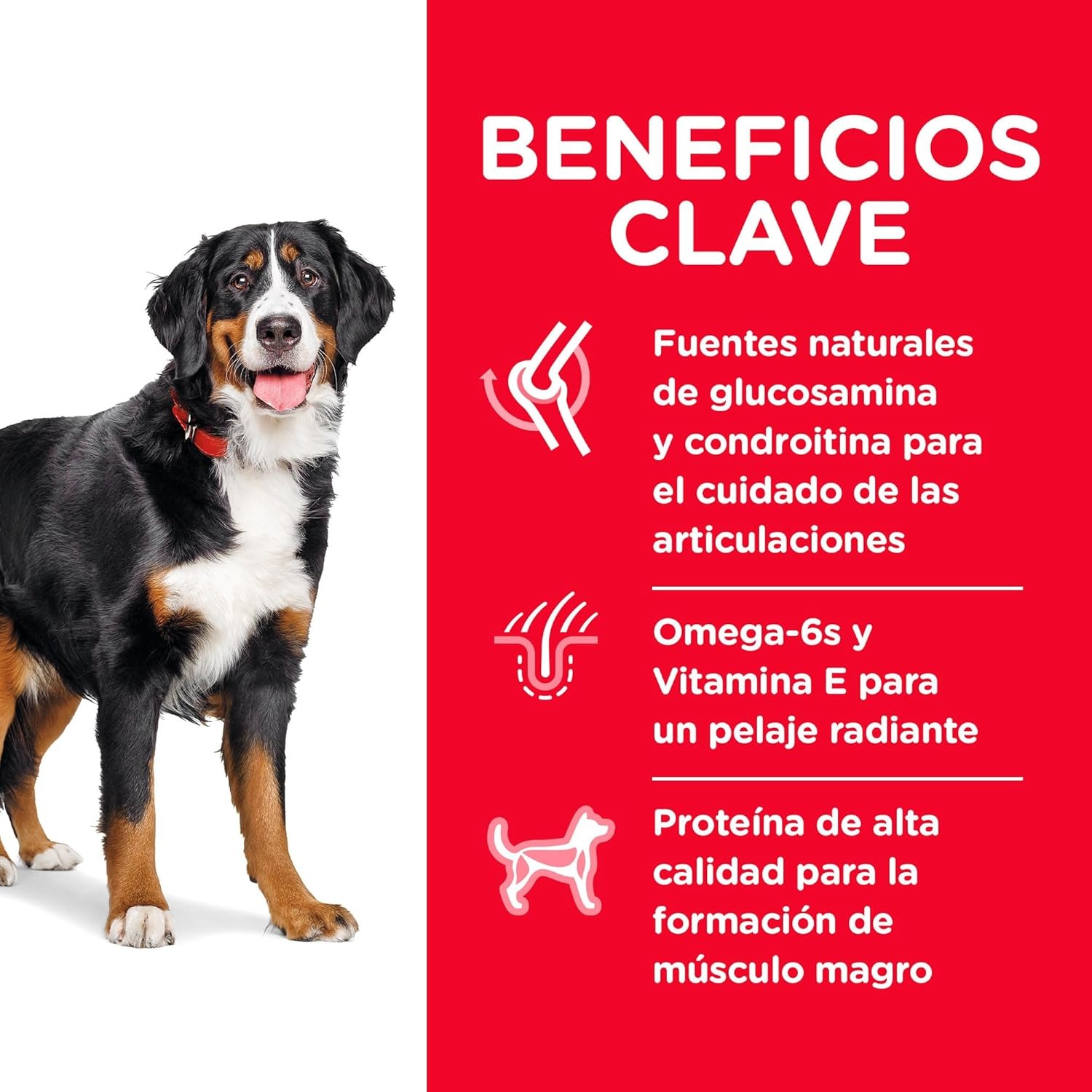 Foto 5 pulgar | Hill's Adult Large Breed Alimento Perro Raza Grande 20.4 Kg